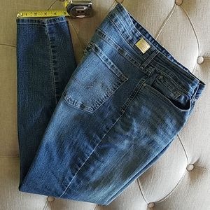 Levis Gold Totally Shaping Skinny